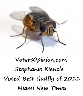 Housefly3